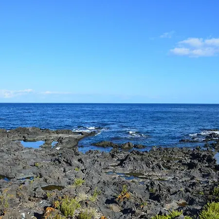 Paradise Apartment *