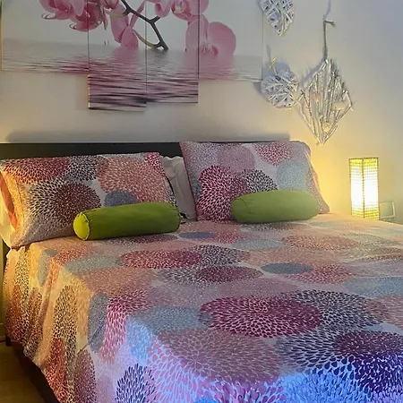 Apartment Paradise *